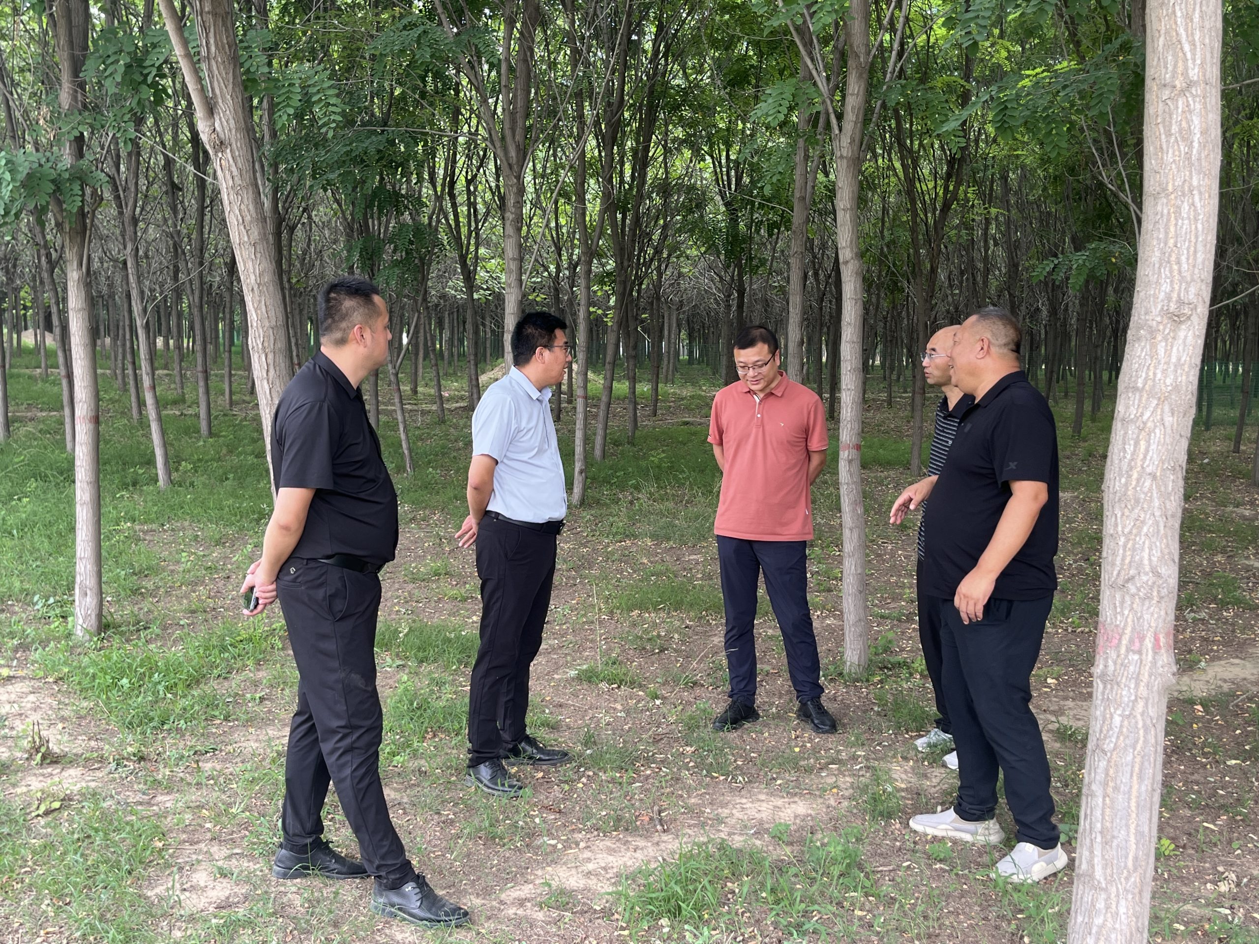 宋渔池4