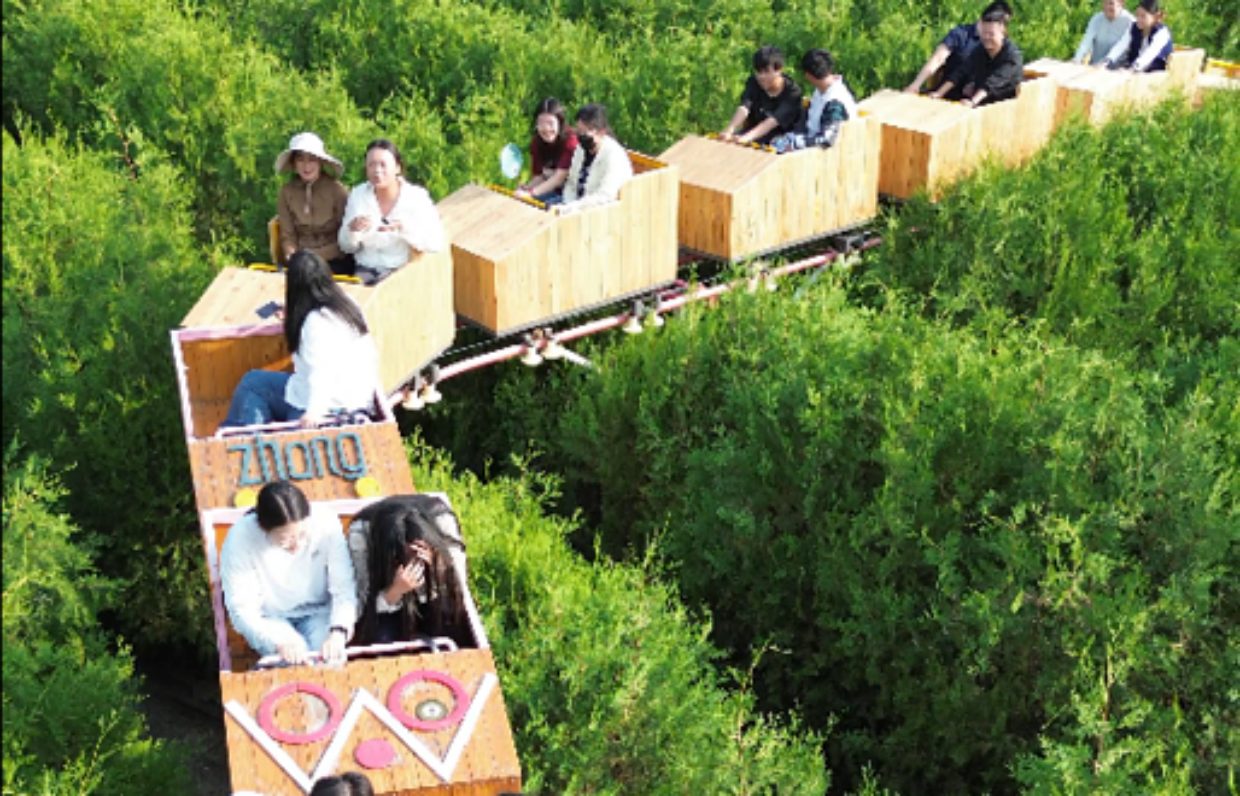 qq20251027 095243(1)